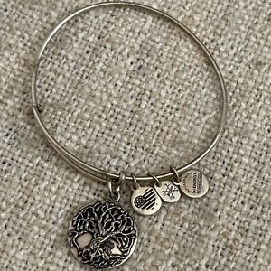 Alex and Ani Tree of Life bracelet